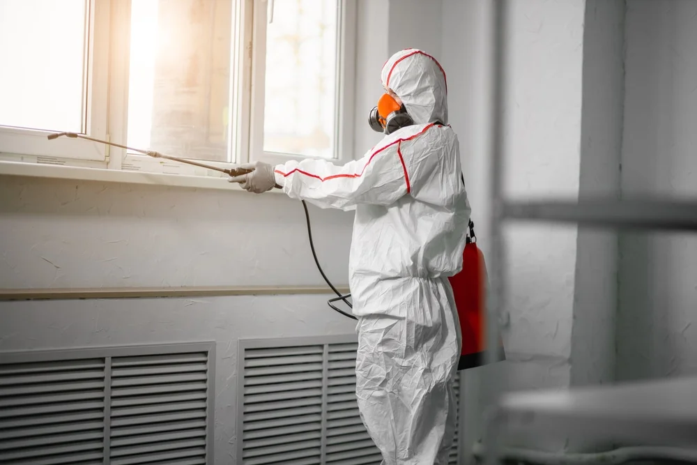 Professional mold remediation services in Papillion, NE